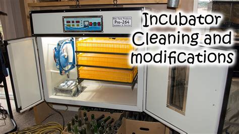 incubator cleaning modifications  review youtube