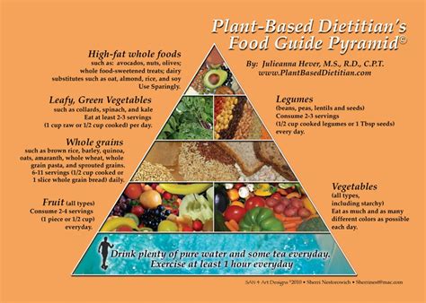 plant based food guide pyramid  plate plant based