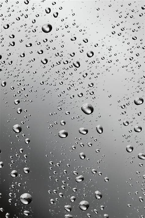 Water Drops Background Dew Condensation Photograph By Ultramarinfoto