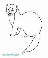 Marten Coloring Pages Printable Drawings Designlooter Kids 440px 04kb sketch template