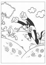 Sylvester Tweety Coloring Pages Bird sketch template