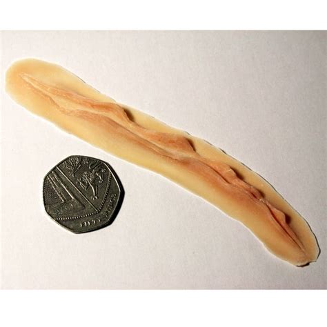 cut slit slash wound  deep detailed latex prosthetic scar etsy
