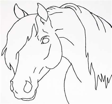 horse head lineart  bluemoon  deviantart