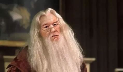 Who Was A Better Dumbledore Richard Harris Rip Or