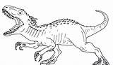 Allosaurus Coloring Pages sketch template