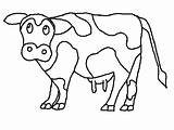 Cow Coloring Pages Cows Color Moo Clack Click Kids Type Drawing Clipart Animal Print Animals Gif Cliparts Printable Cute Printables sketch template