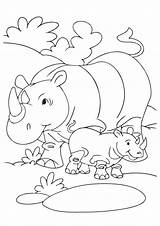 Rhino Nashorn Rhinozeros Momjunction sketch template