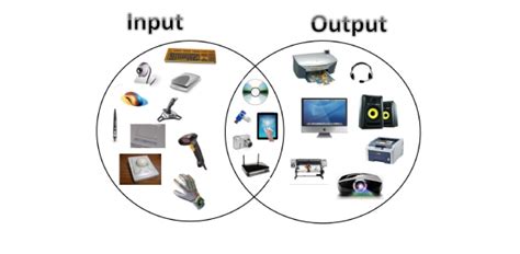 input  output devices proprofs discuss