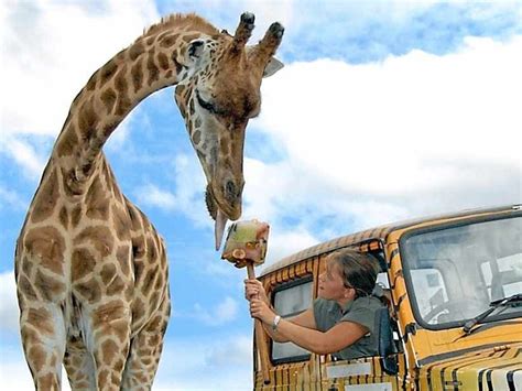 west midland safari park  bought  french leisure group express star