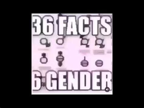 amazing facts    genders youtube