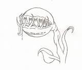 Venus Flytrap Fly Trap Drawing Tat Flash Getdrawings Deviantart sketch template