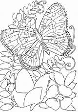 Coloring Butterfly Flowers Pages Flower Butterflies Kids Color Printable Hard Among Sheets Adult Drawing Adults Insects Book Print Buckeye Simple sketch template