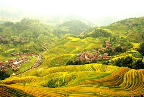 Longsheng Rice Terraces Dragon Backbone Rice Terraces