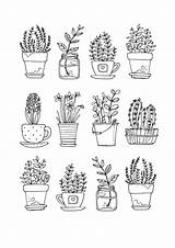 Plant Doodle Sketch Journal Bullet Drawing Plants Simple Drawings Choose Board Flowers sketch template