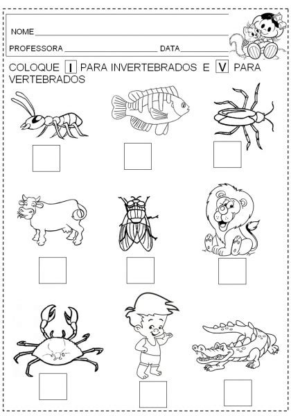fotos de animais invertebrados para imprimir