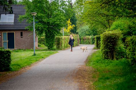 groene heuvels wil vakantiepark worden voor speciale doelgroep foto gelderlandernl