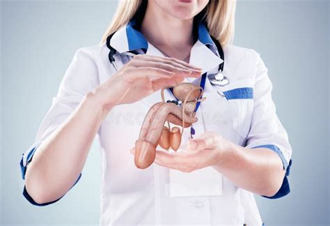 doctor with stethoscope and penis on the hands in a hospital stock