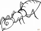 Ant Clipart Coloring Pages Printable Sniffing Wikiclipart sketch template