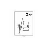 Beis Alef Jewish Coloring Book Number Item sketch template