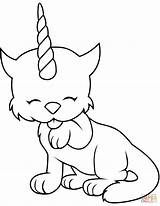 Coloring Caticorn Pages Printable sketch template