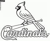 Cardinals Coloring Louis St Pages Logo Saint Baseball Logos Stl Mlb Printable Team Cardinal Oncoloring Missouri Division Loga Los League sketch template