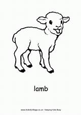 Lamb Colouring Pages Sheep Coloring Lambs Realistic Drawing Activity Print Kids Animal Farm Sheets Village Template Animals Pdf Activityvillage Spring sketch template