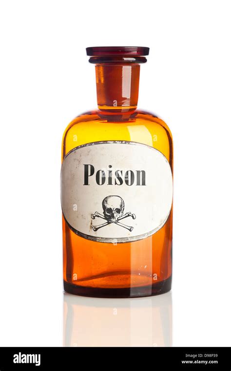 skull  crossbones poison label labels design ideas