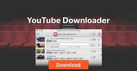 mediahuman youtube downloader feature rich app      playlists