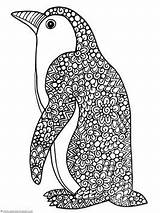 Coloring Pages Penguin Zentangle sketch template