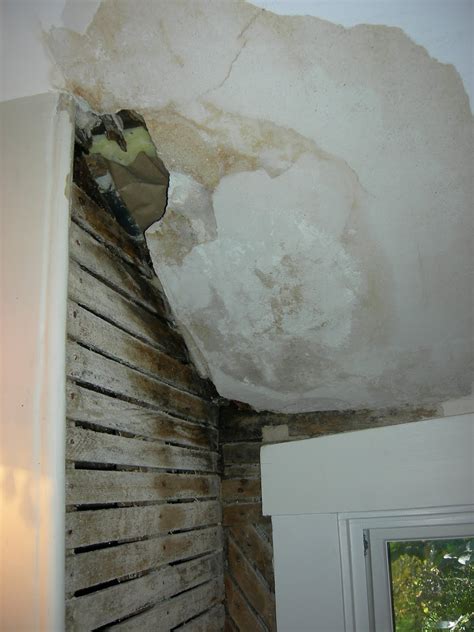 repair  plaster walls