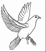 Dove Coloring Spirit Holy Pages Peace Drawing Color Doves Drawings Printable Mourning Getcolorings Getdrawings sketch template