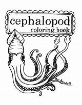 Coloring Printable Mollusc Squid Pages Books Designlooter Sabina Choose Board sketch template