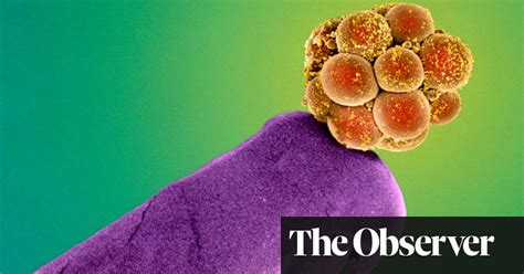 crispr is it a good idea to ‘upgrade our dna genetics the guardian