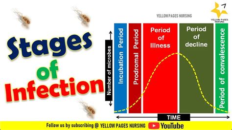 stages  infection incubation period prodromal period illness