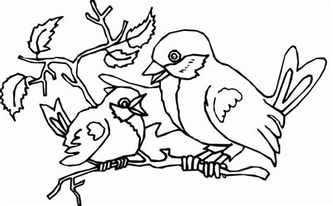 bird coloring pages  coloringfoldercom bird coloring pages