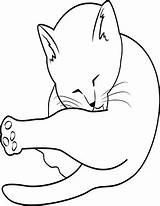 Katze Putzt Ausmalbilder Katzen Tiere Bastelanleitung Ausmalen Dein sketch template