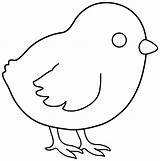 Chick Chicken Outline Coloring Printable Pages Kids Baby Colouring Drawing Simple Sheets Animal Template Cartoon Boys Color Chickens Print Templates sketch template
