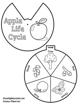 apple life cycle page coloring pages