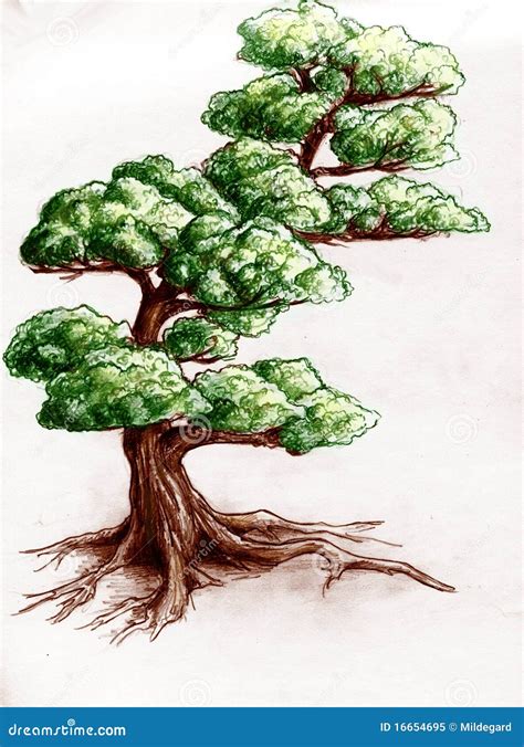 hand drawn tree royalty  stock photo image
