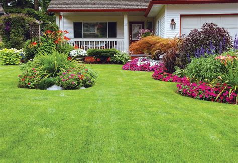 5 Lawn Care Tips For Spring Central Coast Ace Hardware