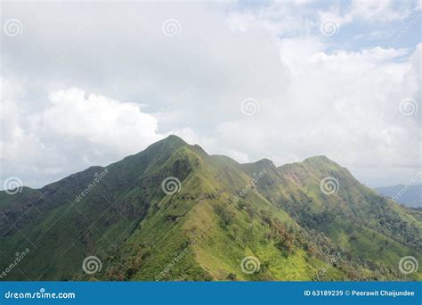 beautiful mountain  thailand stock image image  bark leaves