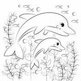 Dolphin Dolphins Corals Valentines Swims Supercoloring Ages sketch template