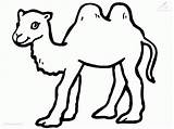 Coloring Desert Animals Pages Camel Library Clipart sketch template