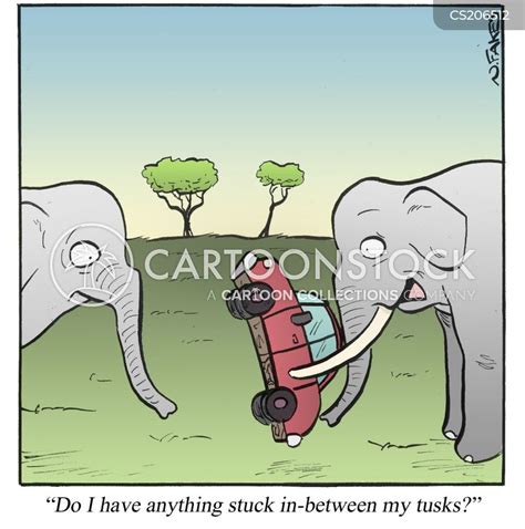 elephant tusks cartoons and comics funny pictures from