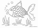 Ikan Mewarnai Hewan Sketsa Binatang Peliharaan Kolam Kolase Hias Tema Kartun Nemo Warna Marimewarnai Koleksi Terlengkap Gampang Karena sketch template