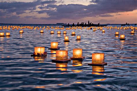 water lantern festival  orlando florida   night  pure magic