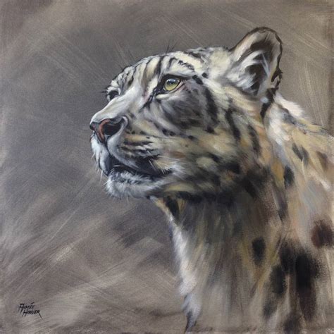 Snow Leopard Sold Painting By Aimée Hoover Saatchi Art