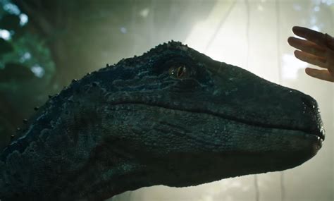 How Long After The Events Of Jurassic World Is Fallen