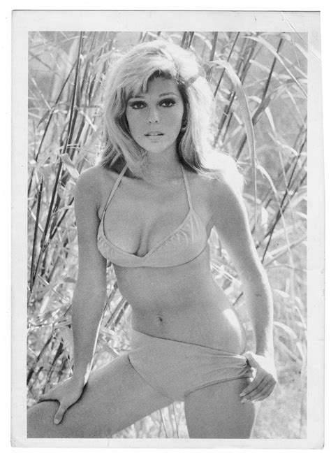 nancy sinatra 60s pinup photo retro pinup photo 60s singer etsy