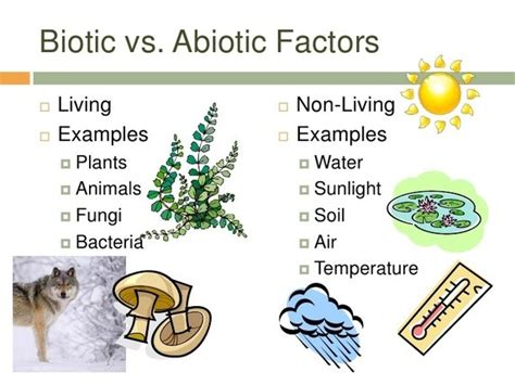 abiotic factor   abiotic factor socratic